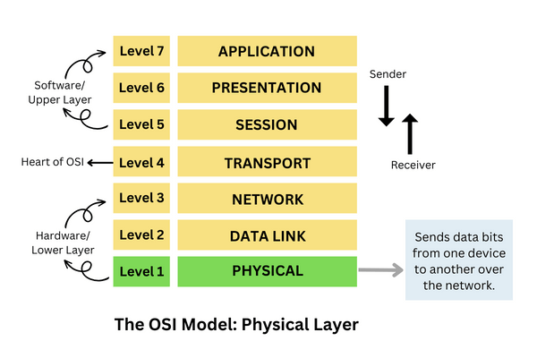 Functions of the Physical Layer in the OSI Reference Model