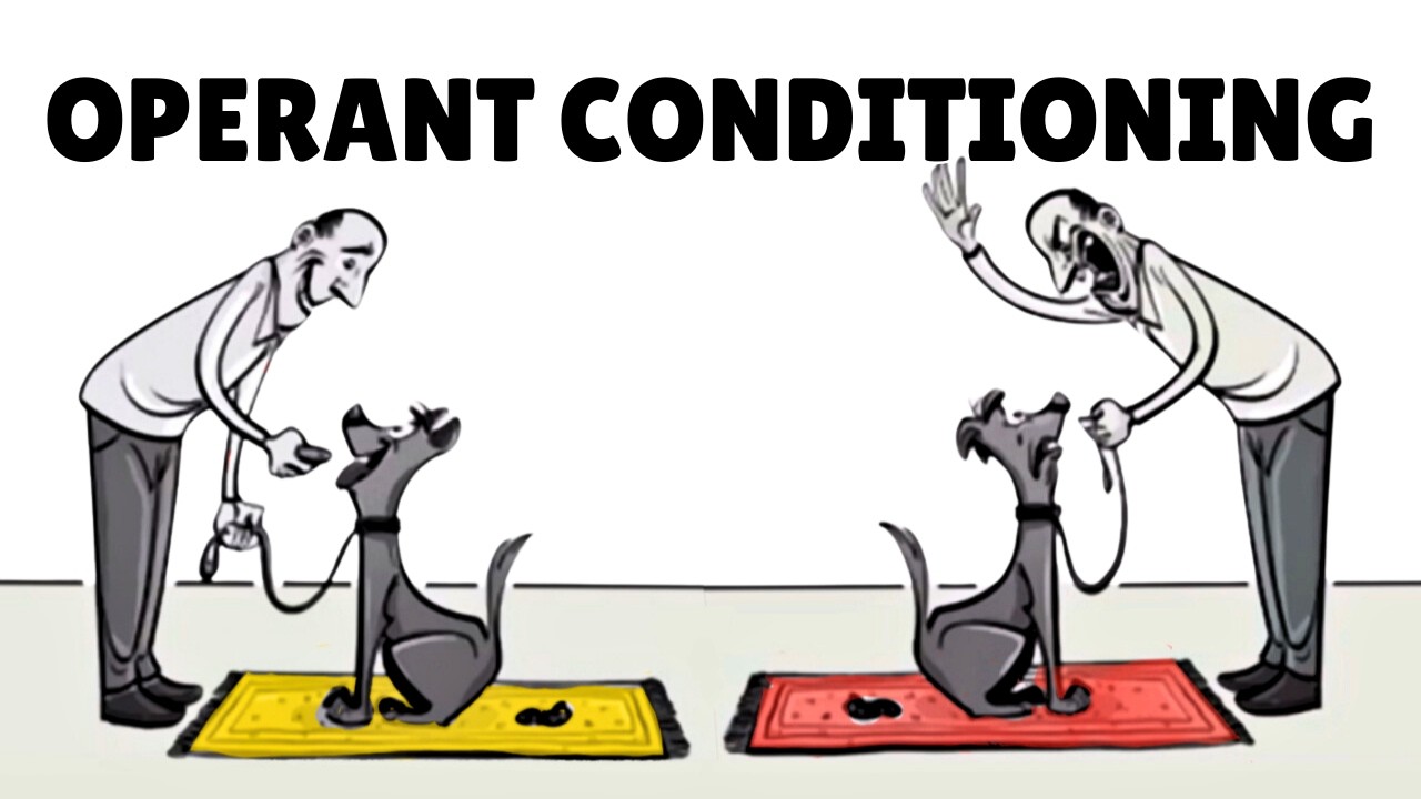 Concepts of Operant Conditioning with Everyday Life Examples