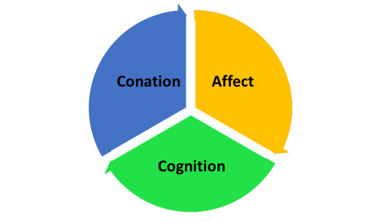 Tri-Component Attitude Model: Components, Examples & Applications
