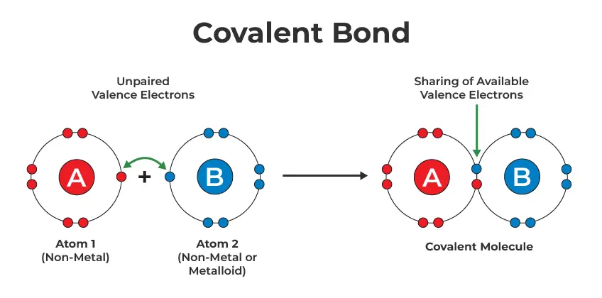 Image for Covalent Bonding in Atoms: Explained